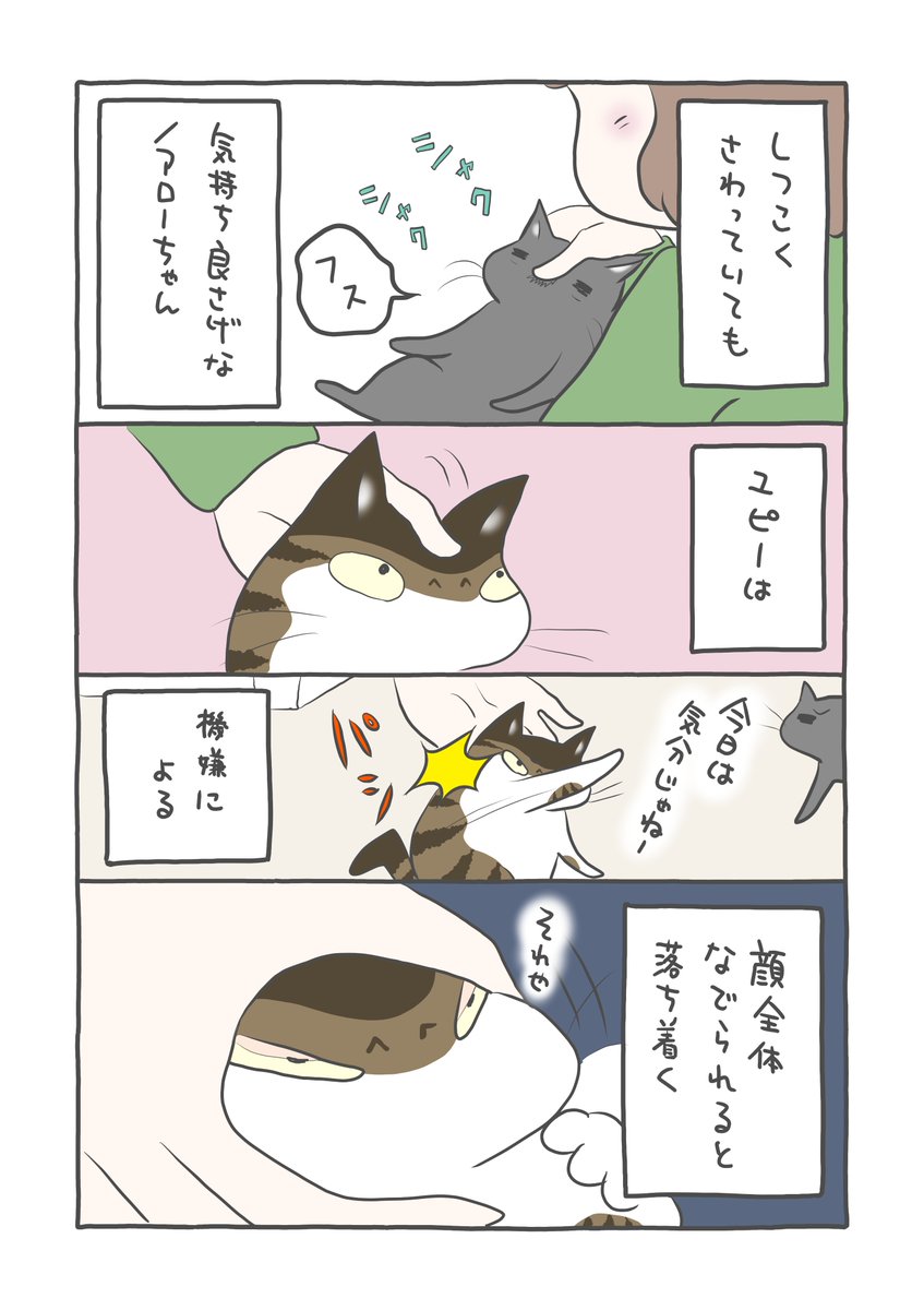 さっちん🐒 (@sachi_7744) / Posts / X