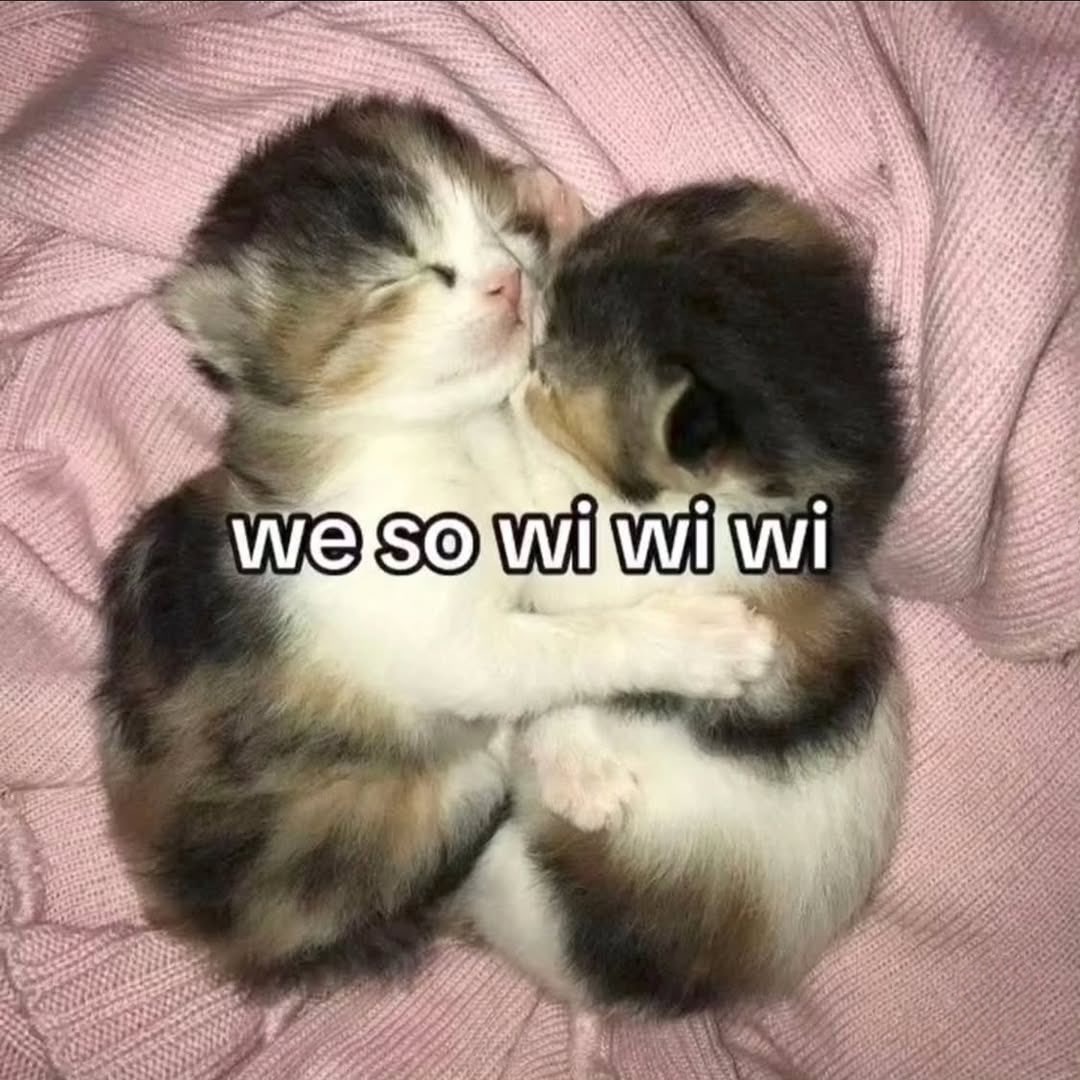 Neus_spl's tweet image. 6 meses aguantando a este marikon tqm ❤️