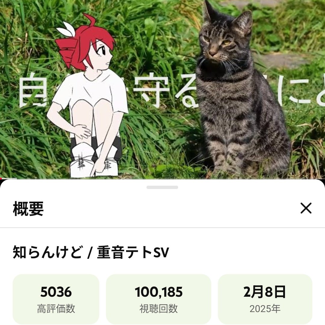『知らんけど』10万回再生ありがとうございます！！
10万超えは初めてです🥳
