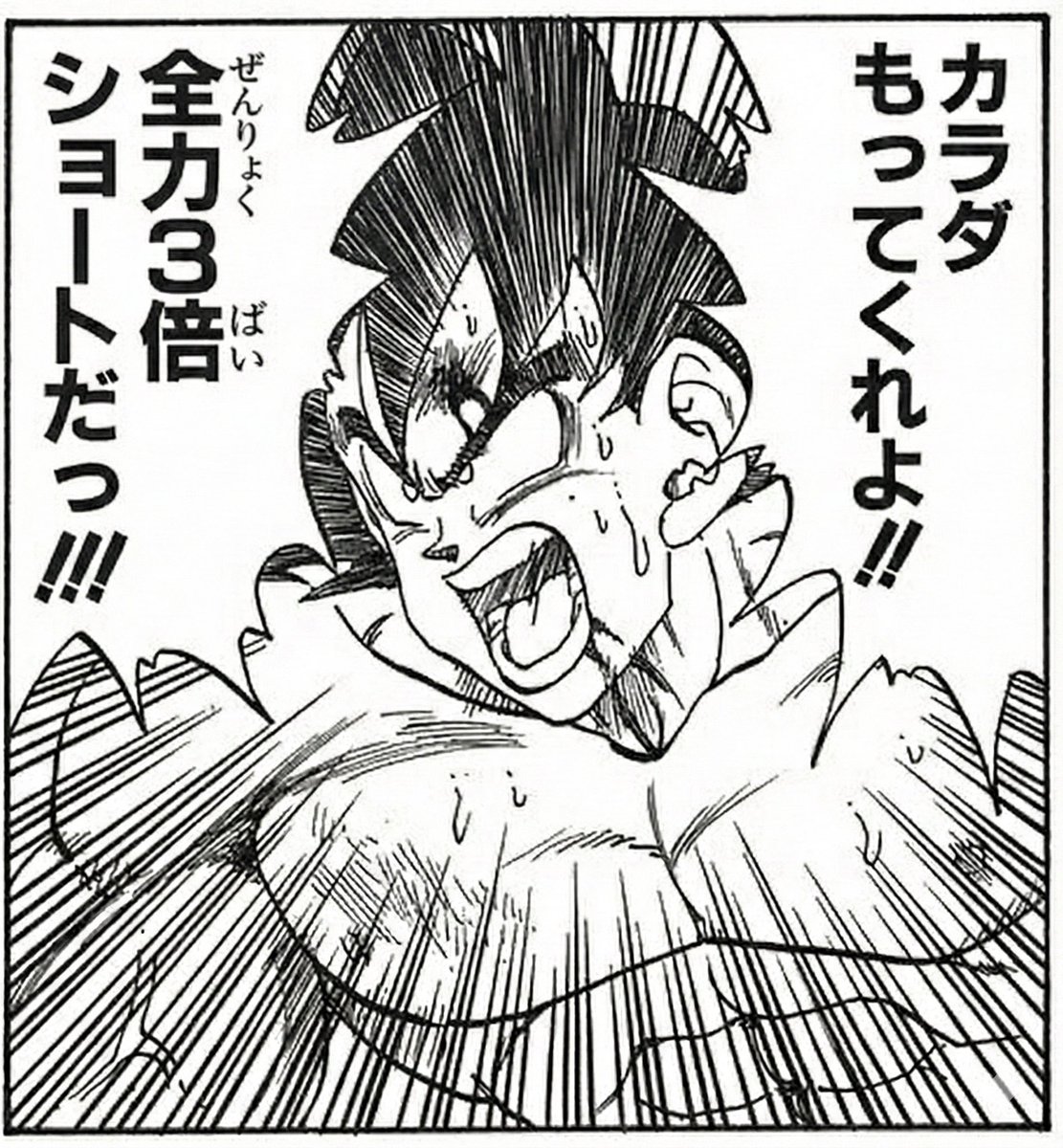 緑の小峠(庭)🤪🍶 tweet media