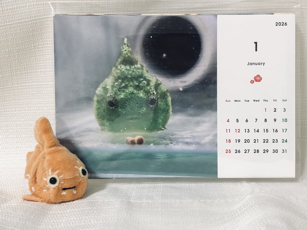 だんごむすめ (@dangomusume1) / Posts / X