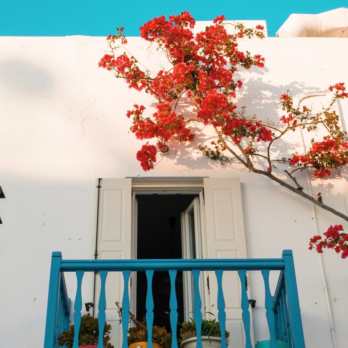 Gm fam 🌞 

Back after a long pause, still alive here and feeling good. 
#creators