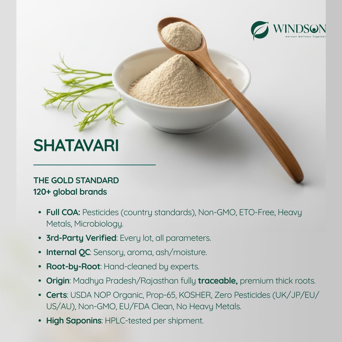 windsonindia's tweet photo. 🌿 Shatavari: 2025’s Women’s Health MVP!

USDA Organic, clean, high-saponin Shatavari—available in Whole, CS, Powder &amp; Granules (MOQ 5kg).

DM “SHATAWARI” or mail sales@windsonorganics.com

 💪 #Shatavari #WomensWellness https://t.co/KqSK7xJHE2