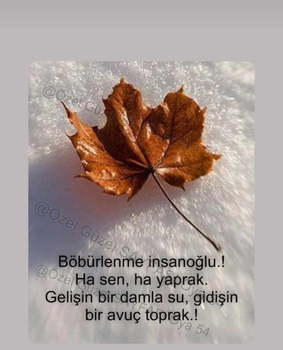 Yüreğinde tüm canlılara karşı sevgi ve merhamet barındıran herkese iyi günler