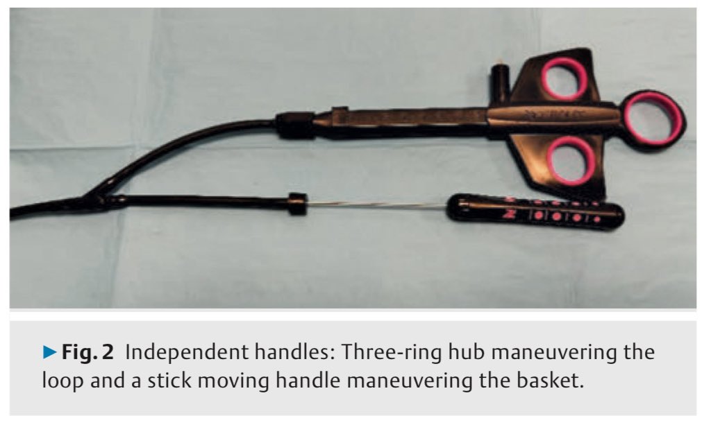 EUS & ERCP Master tweet media