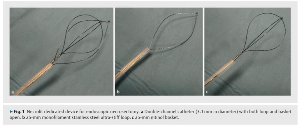 EUS & ERCP Master tweet media