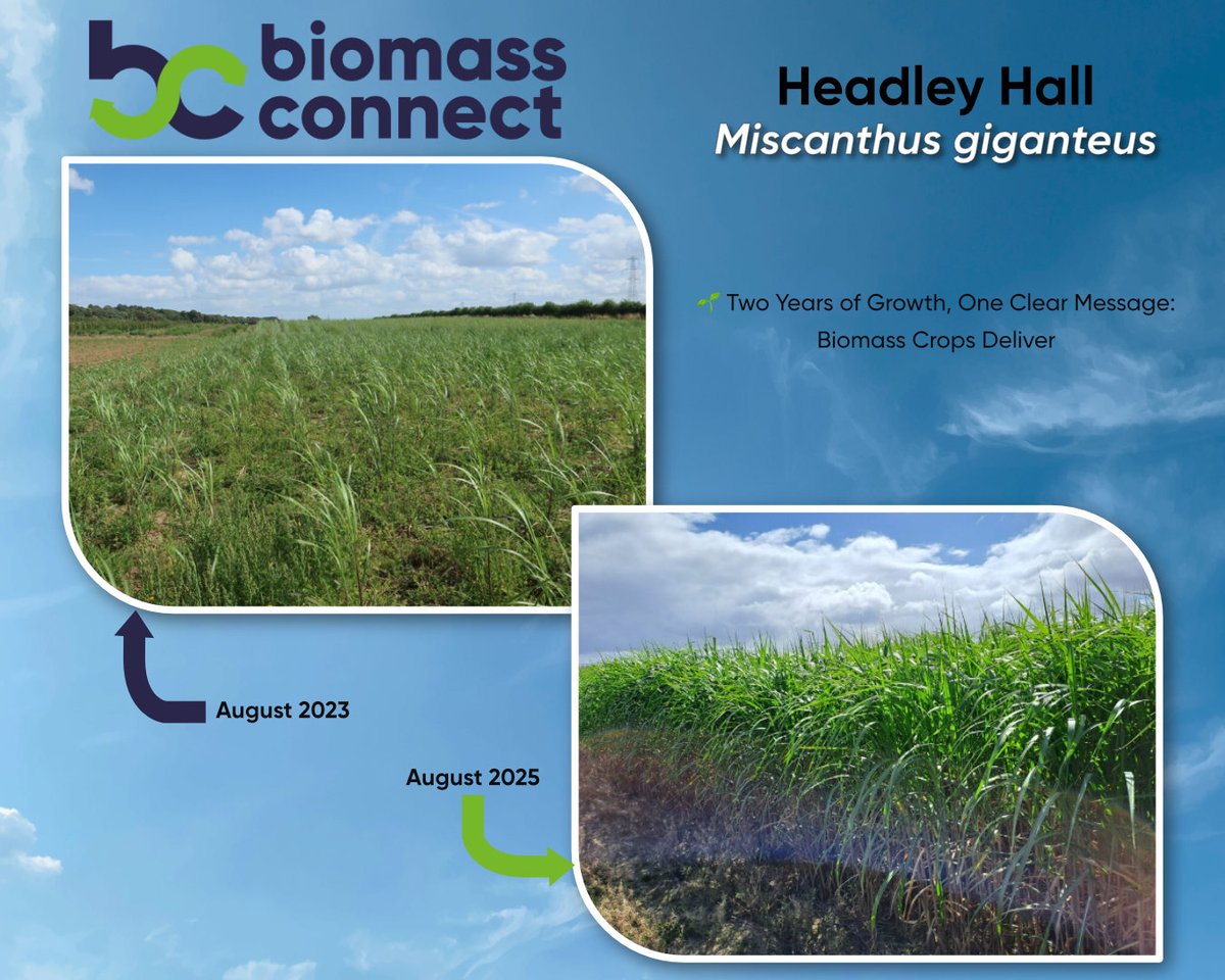 Biomass Connect tweet media