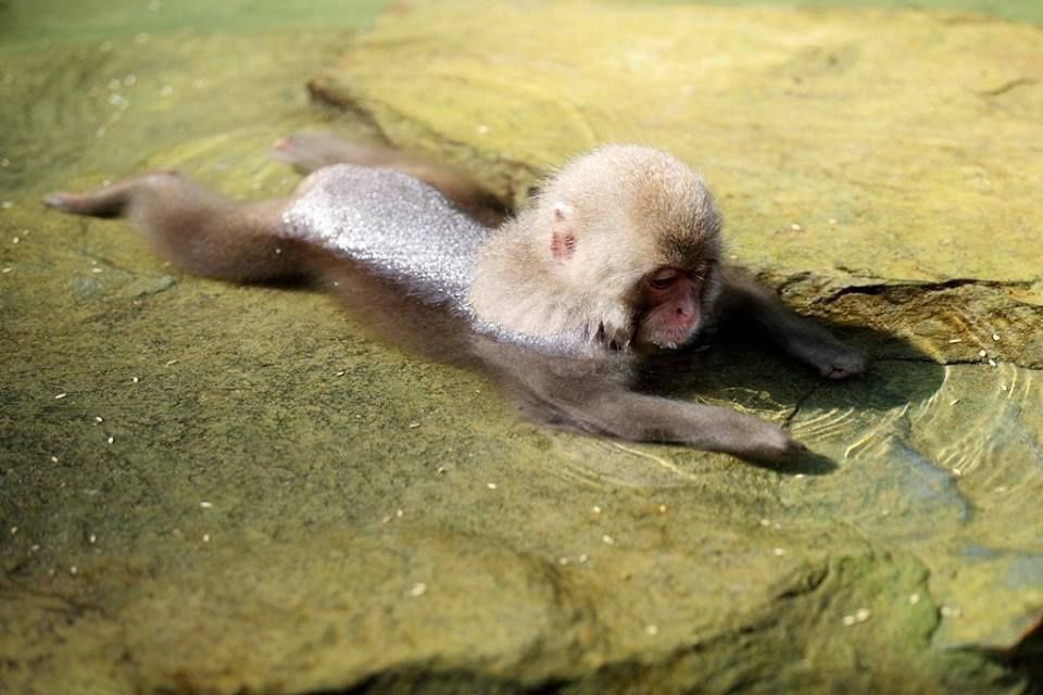 miwwmiu's tweet image. Sigh