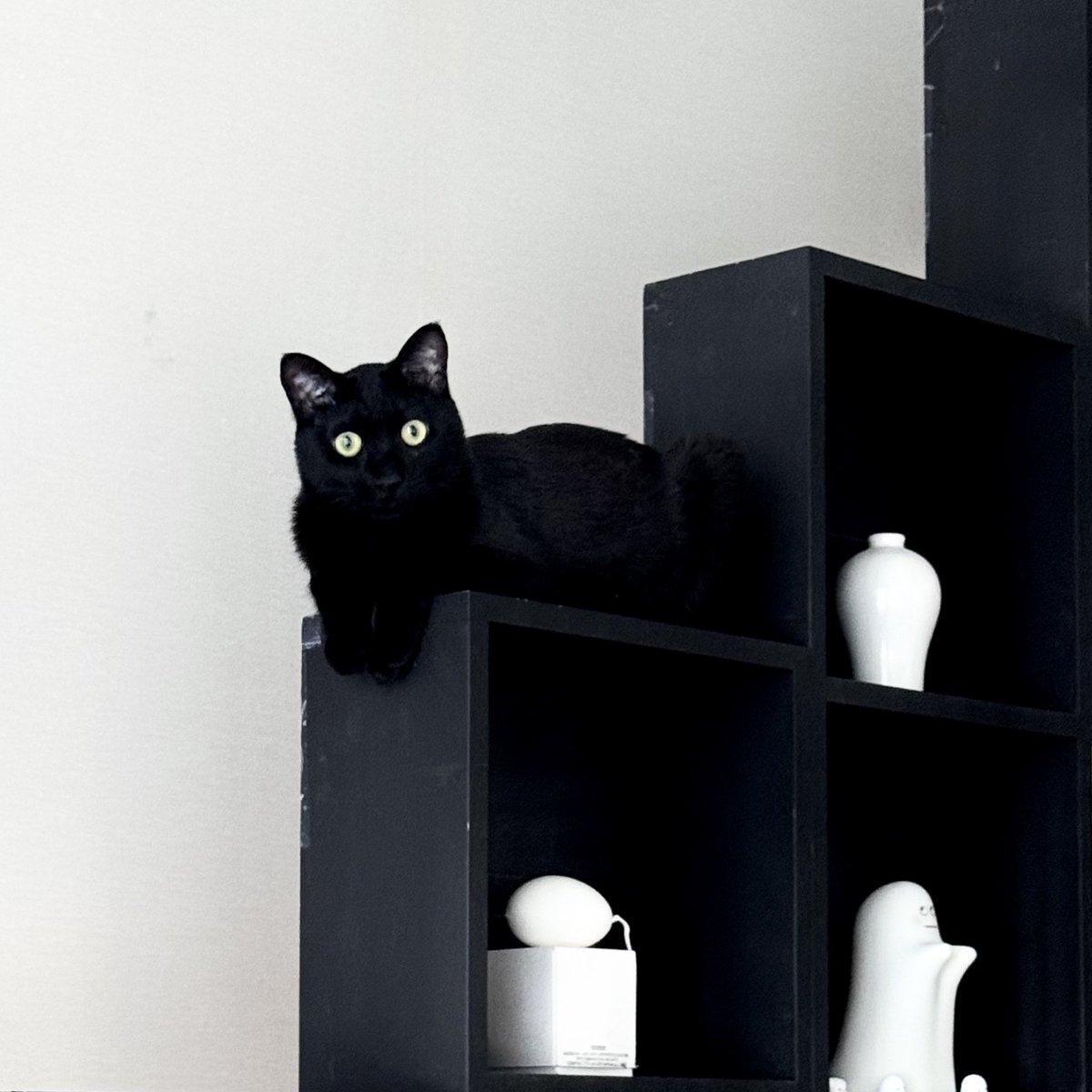 단밤 ✧☾ tweet media