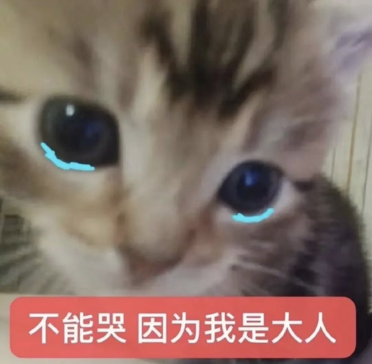 Momoko tweet media