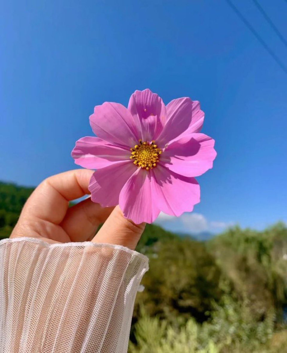 Sana khan tweet media