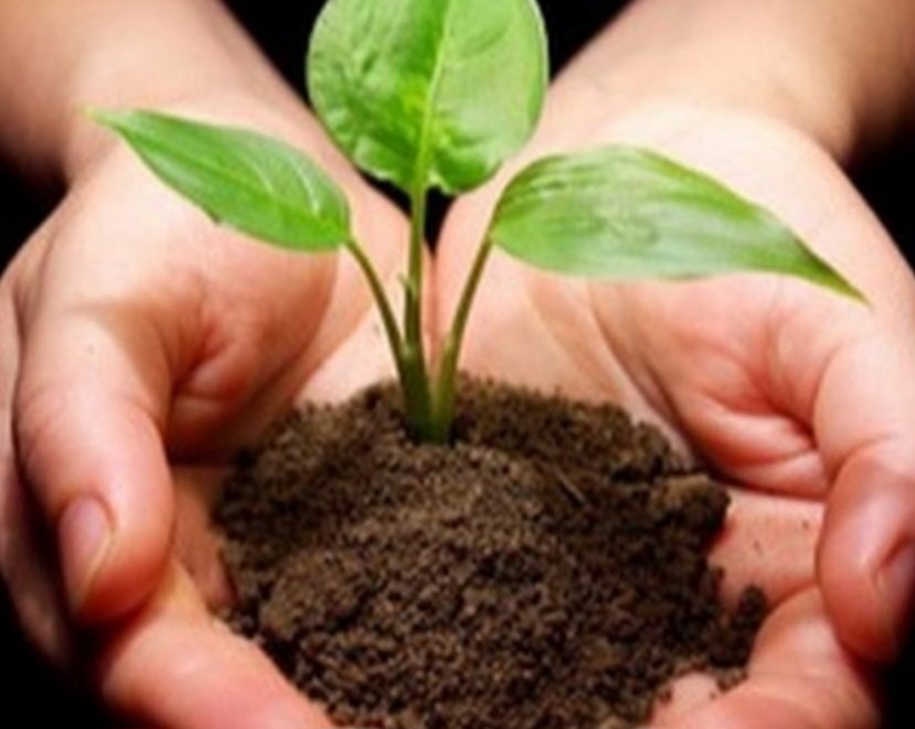 Bugün 5 Aralık, Dünya Toprak Günü : 
Suyu tutan topraktır, ağacı, sebzeyi, meyveyi, otu, hayatı sürdürülebilir kılan topraktır. Topraklarımız zaten erozyonla yitip gitti asırlar boyu... Toprak derinliği kayboldu. Bir de üstüne  meraları, ormanları, sulak alanları, su toplama