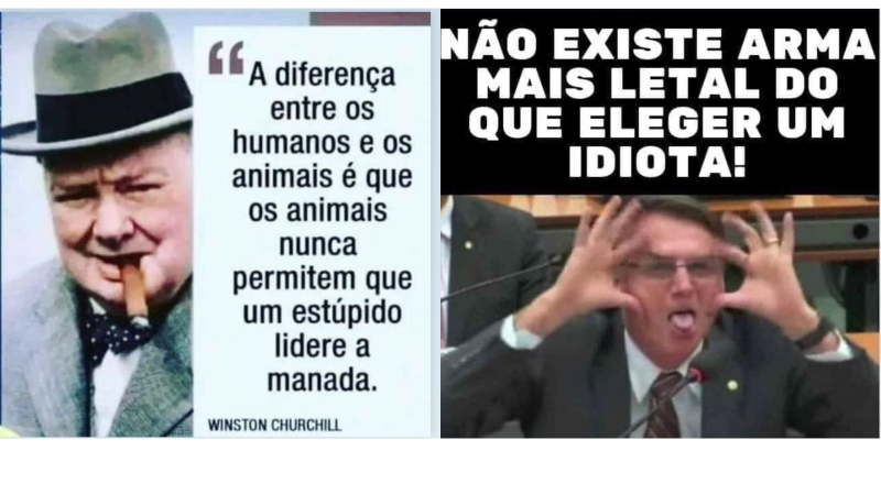 Bolsonaro não tem autocrítica alguma.
Está  claro que ele nunca teve preparo nem para administrar um condomínio, quem dirá um país. Se tivesse um pingo de lucidez, teria continuado no seu habitat natural: gabinete onde desviava verbas com a mesma destreza com que fala bobagens