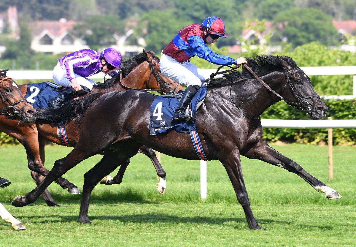🌆 Los Angeles To Stud For 2026.

Los Angeles, an unbeaten Group 1-winning 2-year-old and Classic-winning 3-year-old by European Champion Sire Camelot, will stand under the Coolmore National Hunt banner at Castlehyde Stud for 2026. 

🔗 Read more here: bit.ly/4oD1JcO