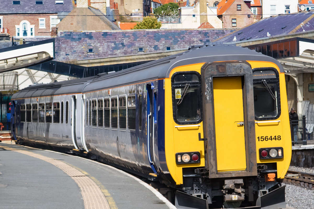 Dutch Seadogs tweet media