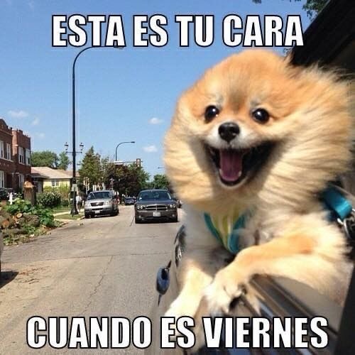Es hoy!! Es hoy!! ✨ #yaesviernes #finde #puente