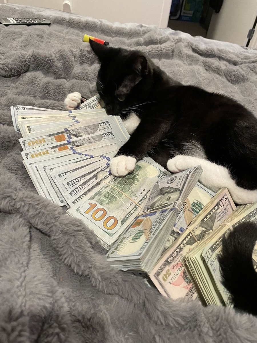 gm