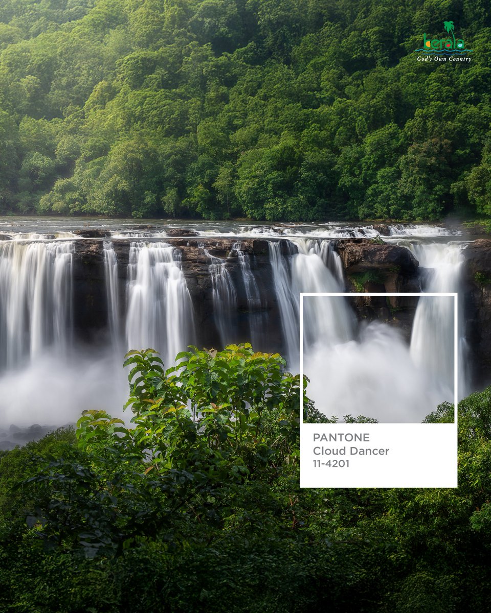 KeralaTourism's tweet image. Kerala's calm hues.

#Pantone #Coloroftheyear #CloudDancer #KeralaTourism
