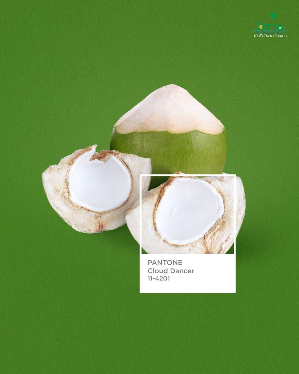 KeralaTourism's tweet image. Kerala's calm hues.

#Pantone #Coloroftheyear #CloudDancer #KeralaTourism