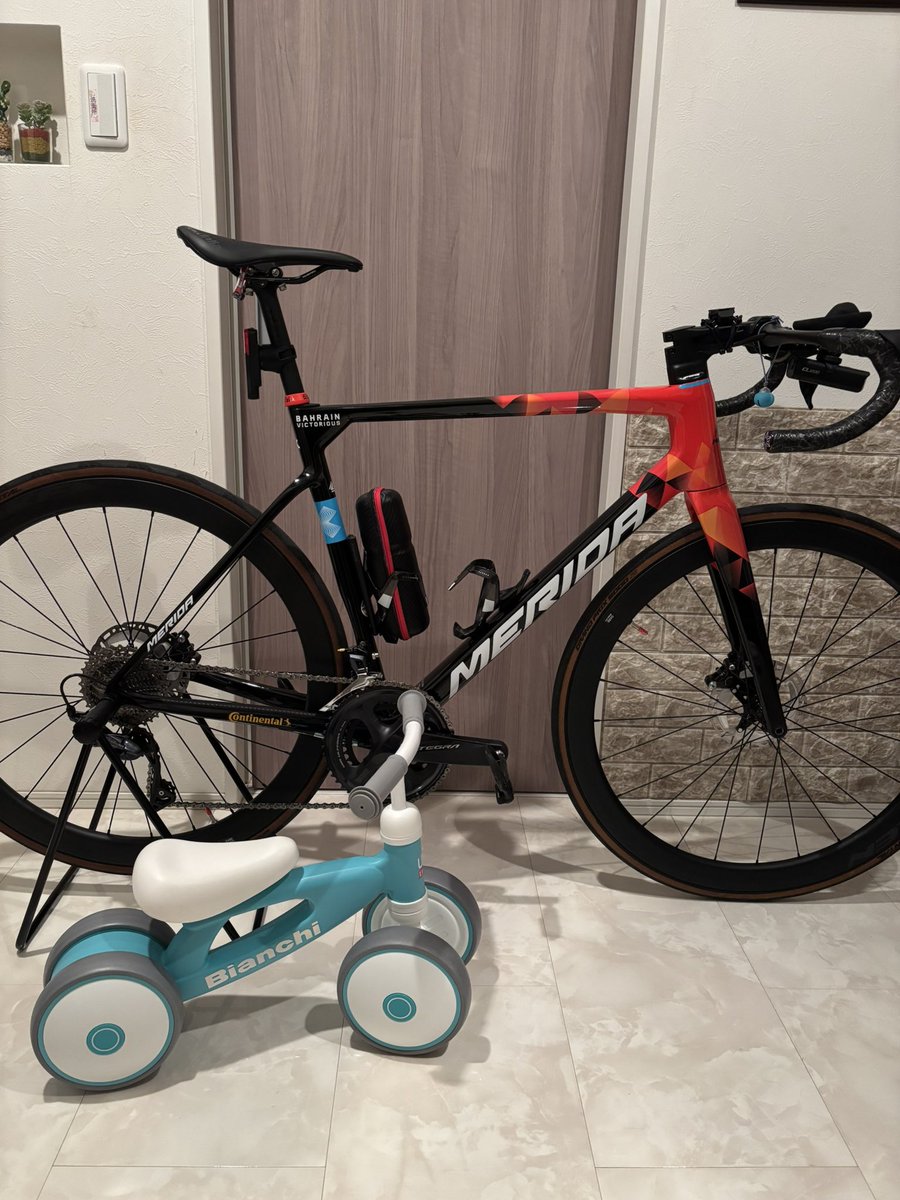 ぴのじき (@pinoko222_pnk) / Posts / X ぴのじき (@pinoko222_pnk) / Posts / X