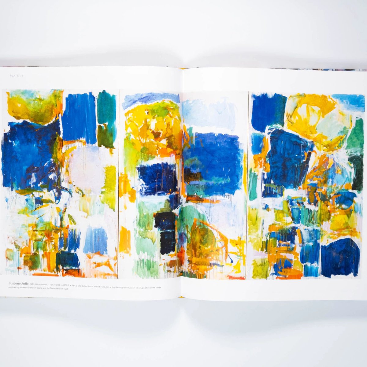 アメリカ出身でフランスでも活躍した画家、ジョアン・ミッチェルの画集