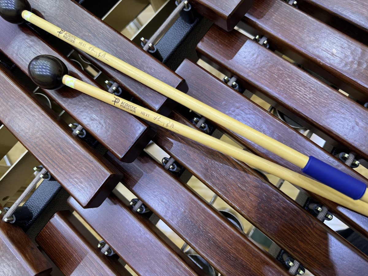 来る12/7、富山ミナミ吹奏楽団の定期演奏会
今年も代表が出演します。基本、鍵盤楽器をうろちょろ。今年は移動が多い😂
オペラ水筒やメトロポリスなど難易度の高い曲から、ミセスやジャパグラなどの楽しい曲まで楽しめます😁
アコースティックパーカッションのマレット達が活躍💪