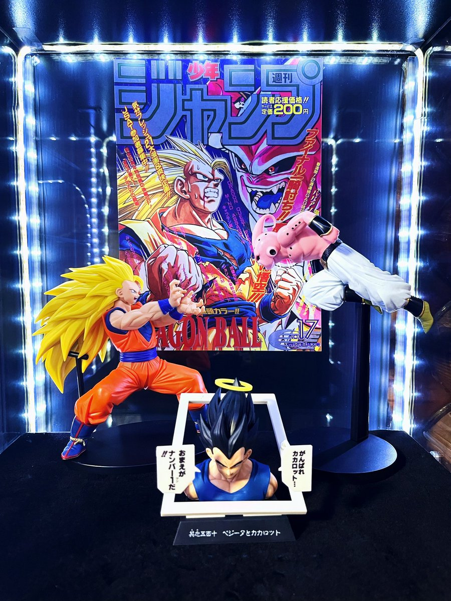 亀仙人 (@waraeyovegeta01) / Posts / X