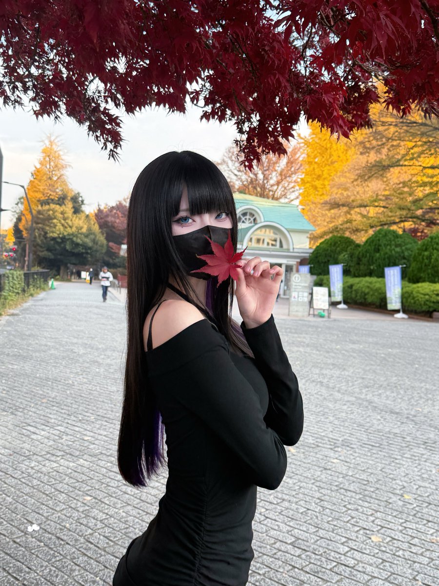 来年も紅葉一緒に見に行こうよ〜 https://t.co/jxC3jiL0hm