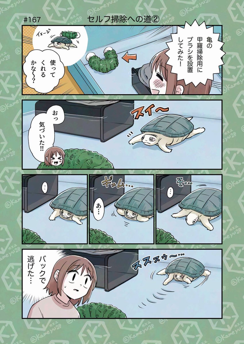 カメユ│亀と絵と漫画 (@kameyu28) / Posts / X