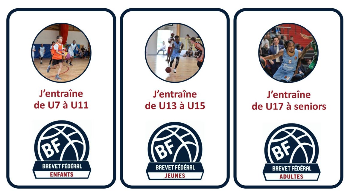 La formation d'entraîneurs "Brevet Fédéral" commence bientôt. N'attendez plus pour vous inscrire ! 🎓

✍️ basket77.fr/2025/12/format…

#Basket77