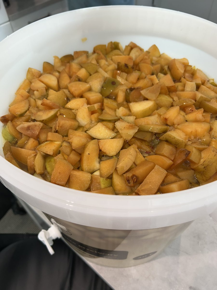 1st Crack at making Fire Cider with our Apples🔥🔥3 months in the making.Defo enjoyed the Cider Stage Pre Vinegar 🤣Proper Hairs on the Chest Stuff ! #Firecider
 #Vegan