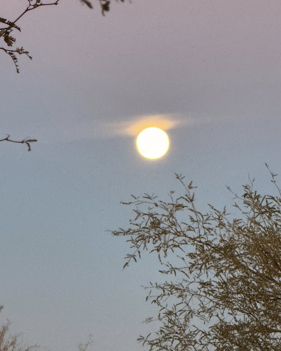 KristyTallman's tweet image. Cold Moon Over Benson, Arizona 🌕✨🌵

Tonight’s Cold Moon rising over Benson came in bright, sharp, and gorgeous — desert sky knows how to put on a show.

#ColdMoon #BensonAZ #ArizonaSky #WLNN

📸 Credit: turileesmith