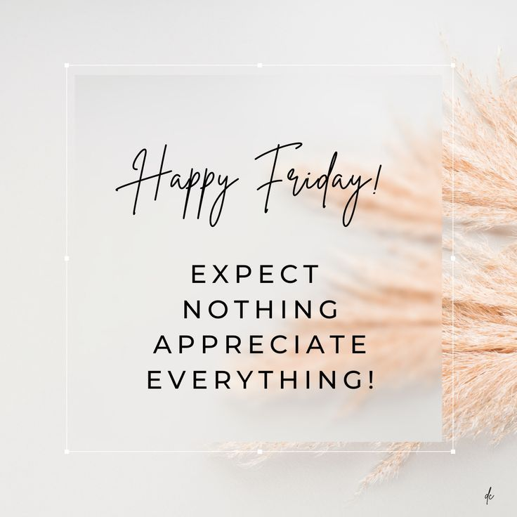 ZeldaaaadleZ's tweet image. 