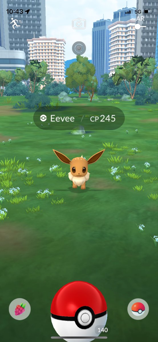 JohnPatrick_101's tweet photo. #Eevee #NormalTypePokemon #PokemonGoAustralia #PokemonGo #CombatPower #EeveeCP245 #PokemonGoApp #Pokemon @PokemonGoNews #EvolutionPokemon https://t.co/UjxzcCIaOv