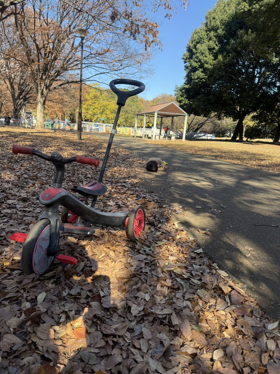 r19you1's tweet photo. 途方に暮れてる図 https://t.co/tmrqvleMF1