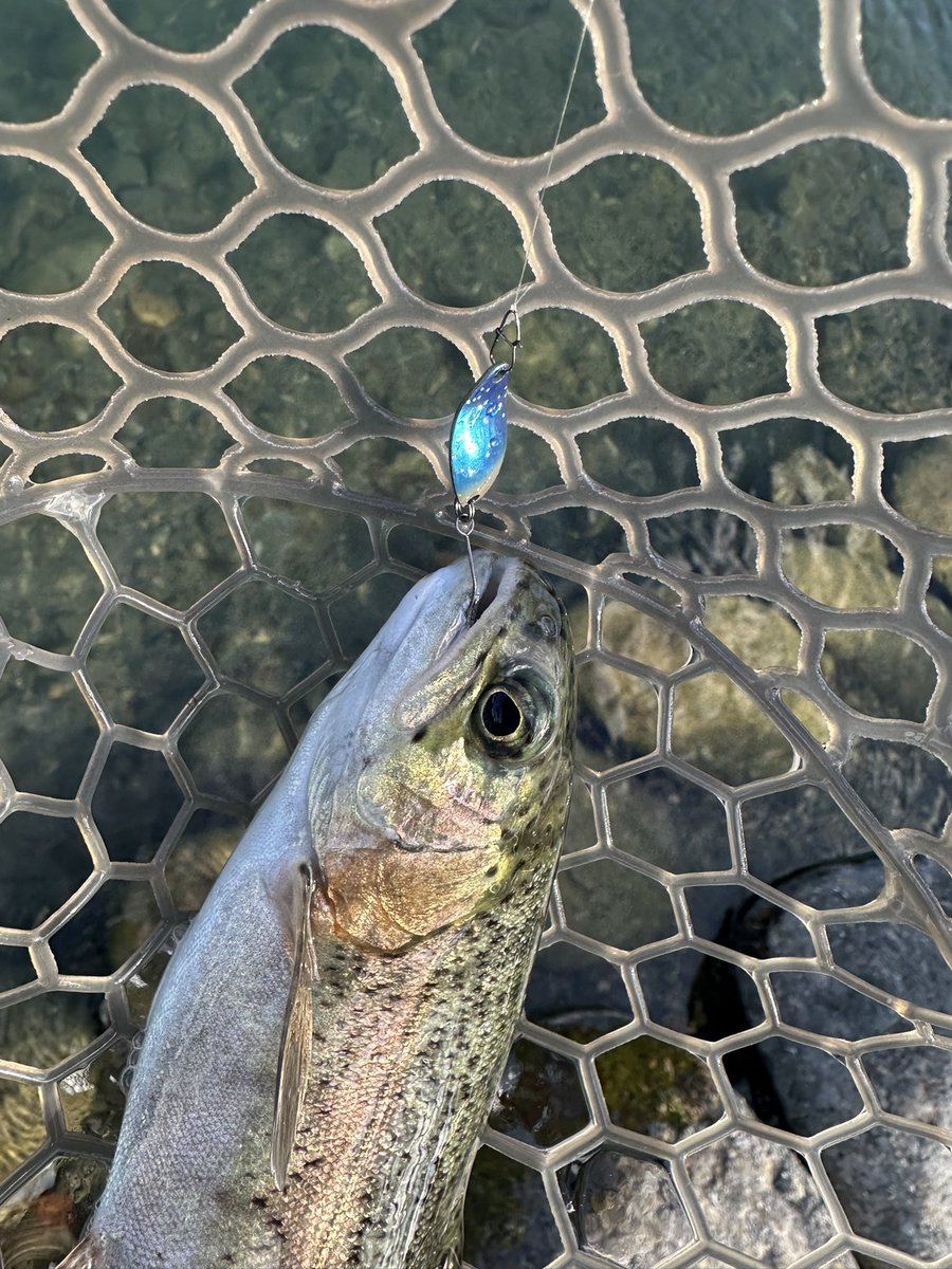 早乙女智啓 (@9999tomo) / Posts / X