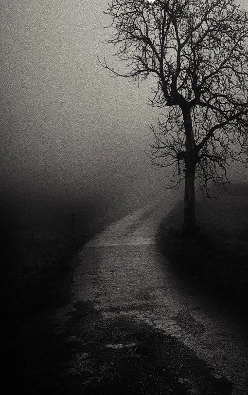 #الاموات_يفرحون_بالدعاء_لهم
اللهم ارحم موتانا و موتا المسلمين