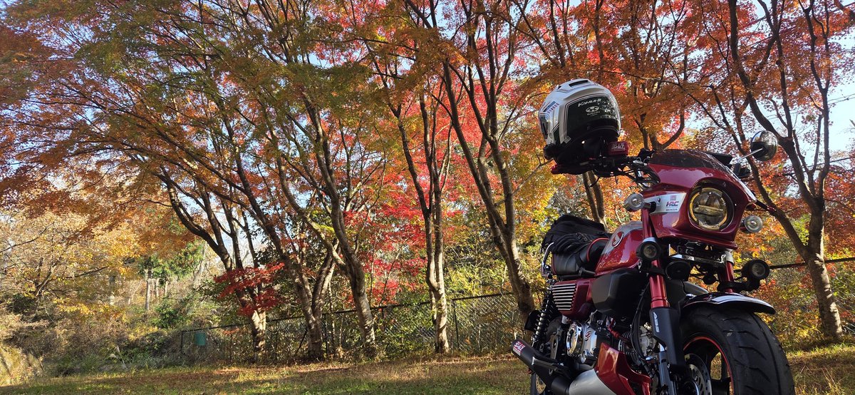 #12月5日は125ccの日
#モンキー125