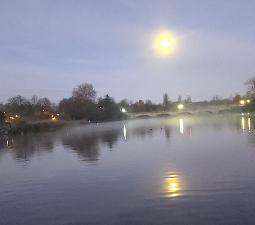 SerpsSwimClub's tweet photo. Water 6.5 Air 1
Supermoon Serpentine https://t.co/8L4I32bsx5