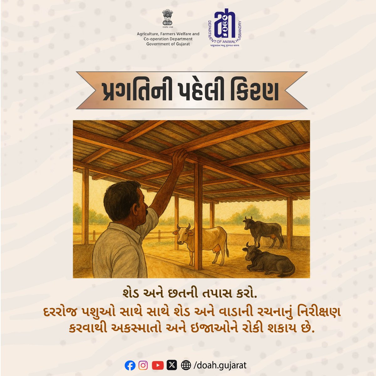 DoahGujarat's tweet photo. પ્રગતિની પહેલી કિરણ
શેડ અને છતની તપાસ કરો.
@Dept_of_AHD
@InfoGujarat
@jitu_vaghani
@RameshKataraMLA
#AnimalSafety
#LivestockCare
#CattleProtection
#SafeCattleHousing
#PreventInjuries
#RuralDevelopment
#AnimalHusbandry https://t.co/330KrHhpnB