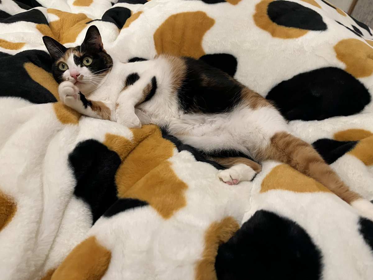 最近いつ見てもここにいる