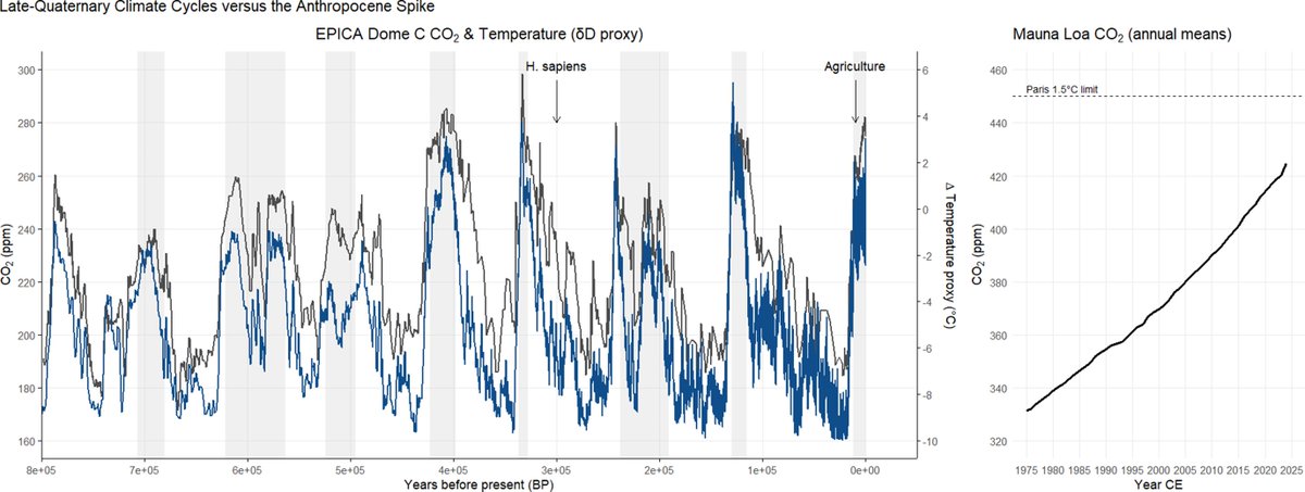 Cambridge Prisms tweet media