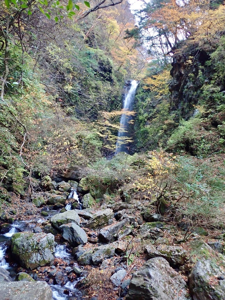 ◾️山間部のサクラ公園
◾️木陰の滝
◾️紅葉スポット
◾️神社または滝下のお不動さん
でイベント情報サイトに出てこない(＝混まない)場所をチェックしておくと、
春夏秋冬の連休で家族行動する日も花見、避暑、紅葉狩り、初詣と称してフィールドに行けるという術…！笑