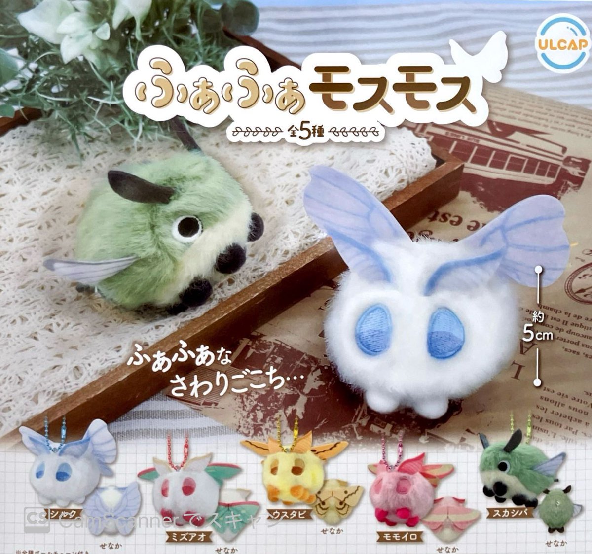 🙇‍♂️12/5(金)完売のお知らせ④🙇‍ ✓ Licca closet series ルーム