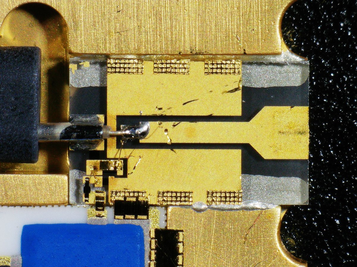 Sebastian tweet media