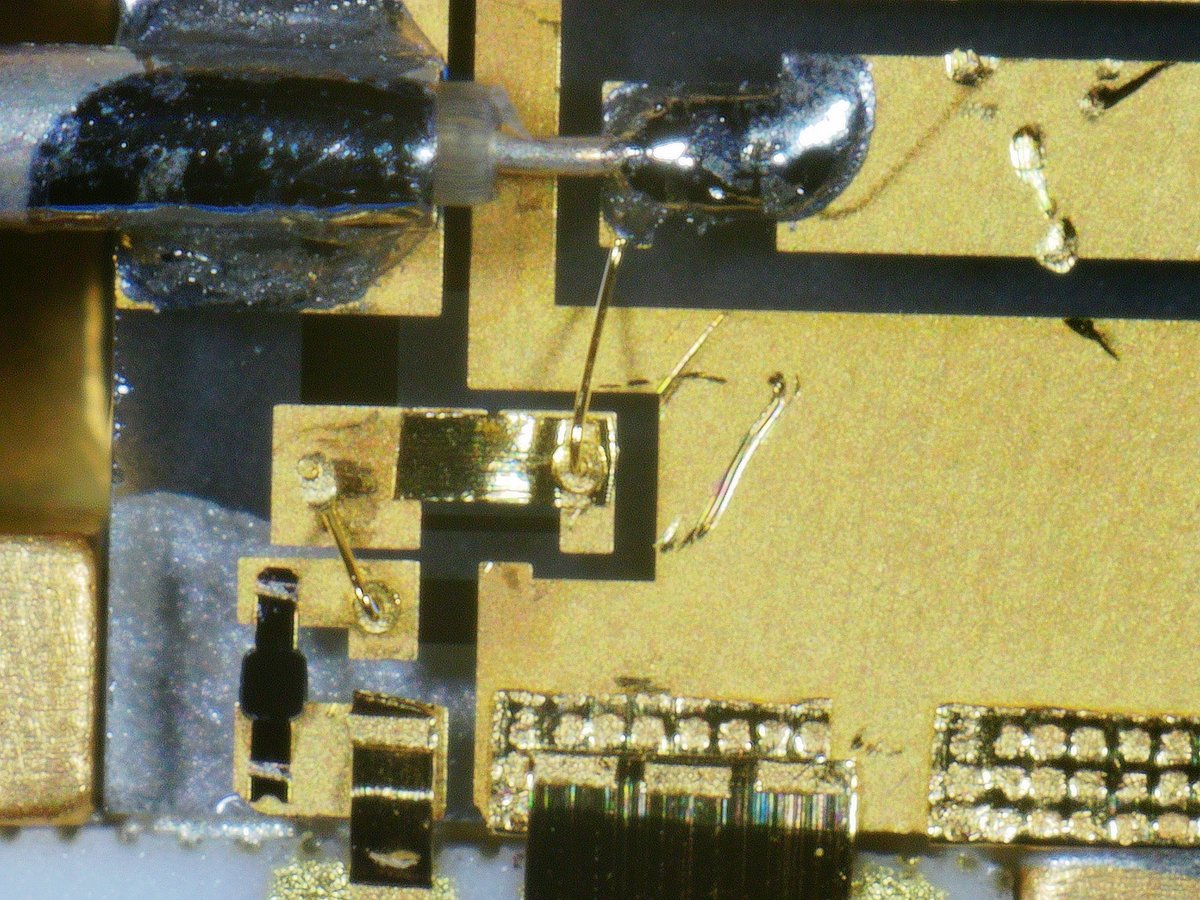 Sebastian tweet media