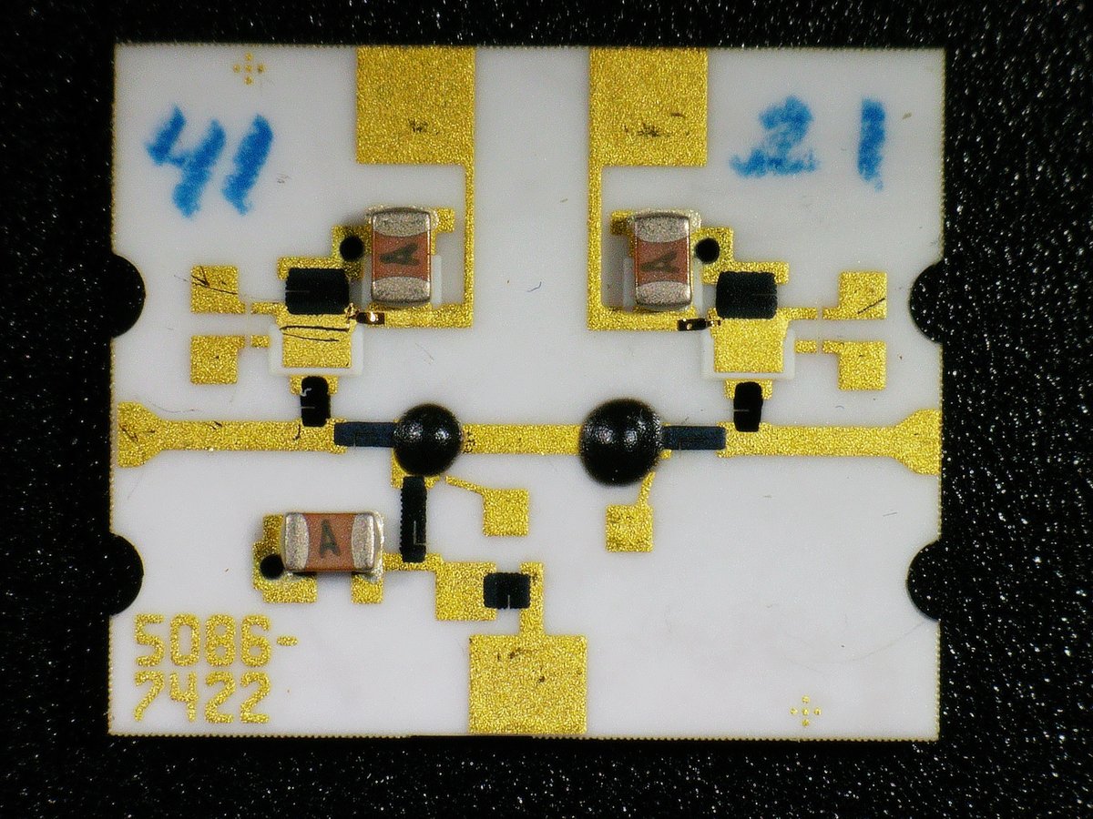 Sebastian tweet media