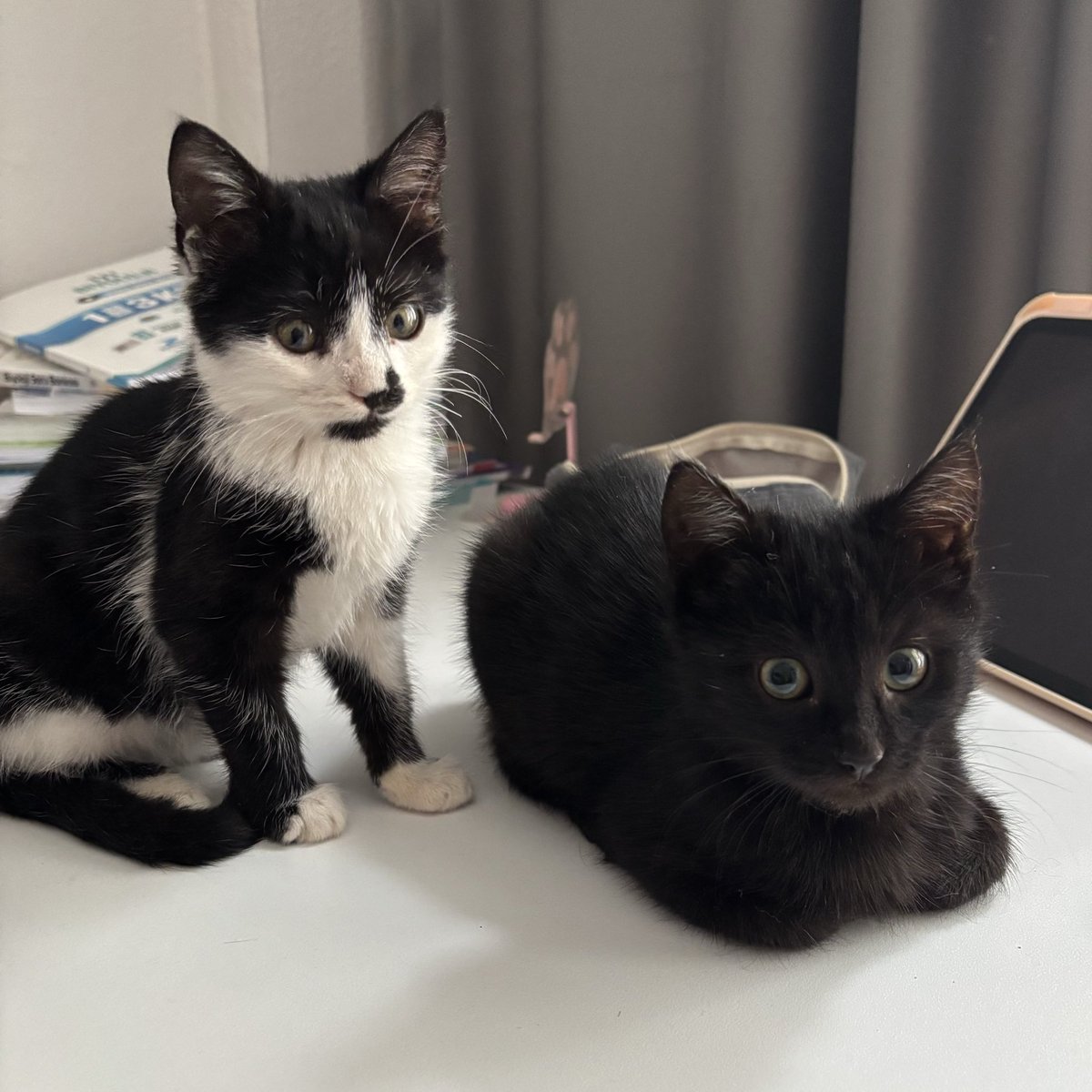 onlari ISIRMAK ve YIYIP BITIRMEK istiyorum