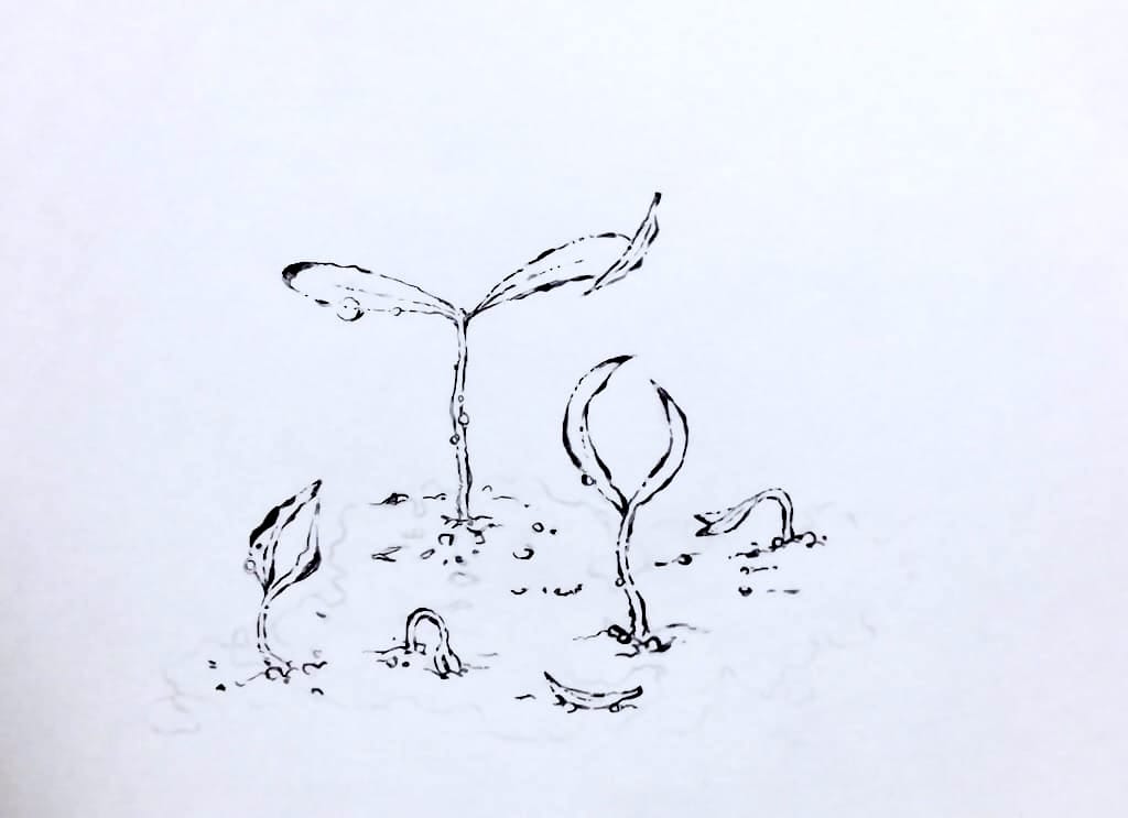 色鉛筆イラスト wip 下描き