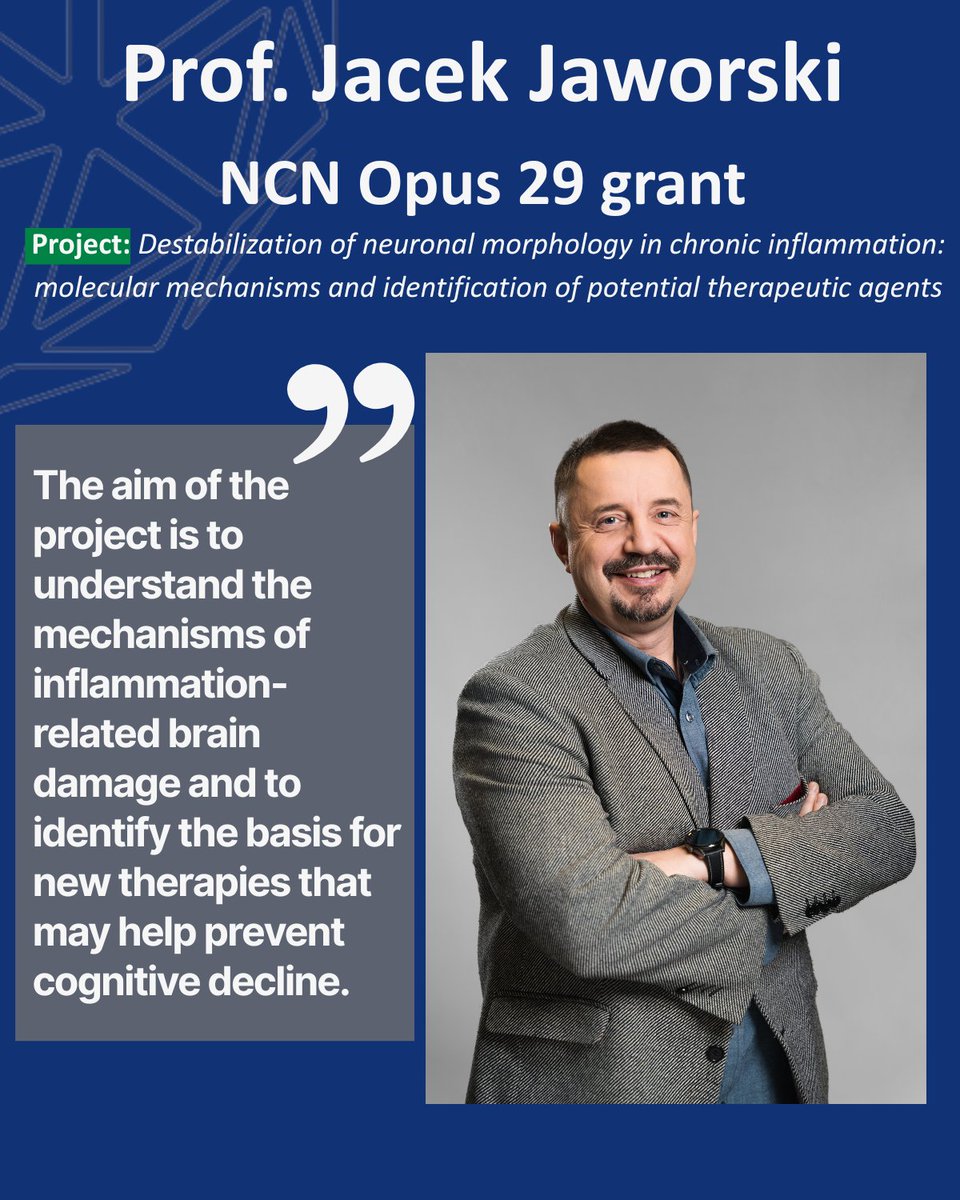💥New research prospects at IIMCB thanks to grants from
<a href="/NCN_PL/">Narodowe Centrum Nauki</a>
The research led by Prof. Jacek Jaworski, will focus on how inflammation and ageing affect the structure of neurons in the brain, in particular dendrites, which are essential for communication between nerve cells.